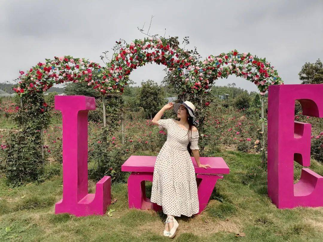 美爆了南宁300多亩的玫瑰花园盛情开放现在知道还不迟