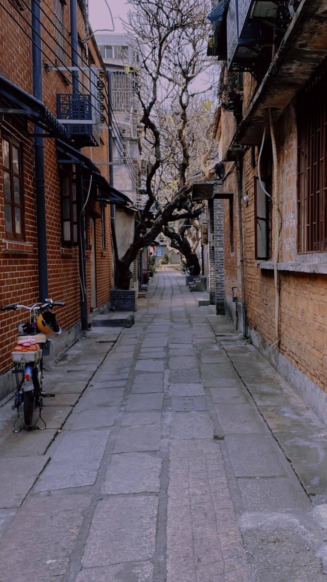 寻城市烟火,重拾佛山老街的旧时光_社区