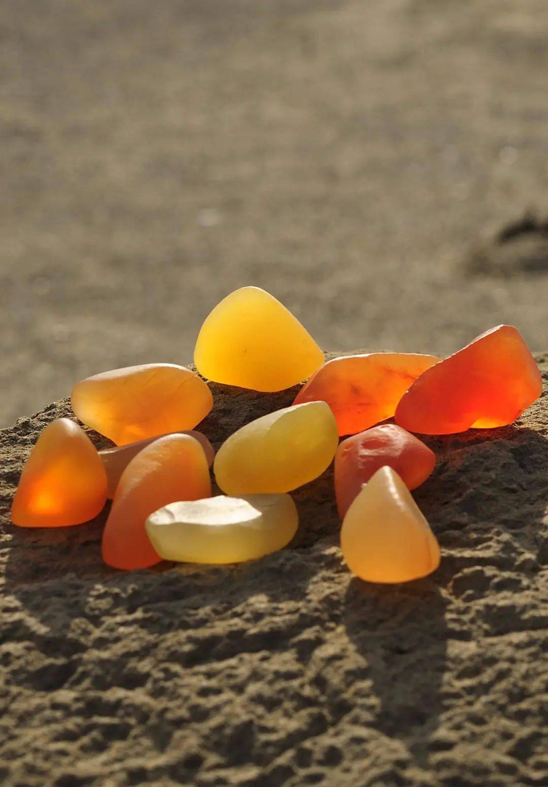 乌尔禾第六届金丝玉翼龙奖作品大赛即将隆重启幕