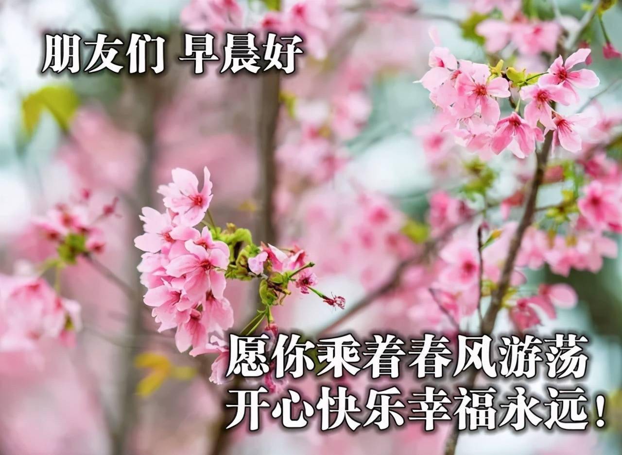 早安吉祥:朋友,愿你永远快乐,一生无忧,早上好_乐享