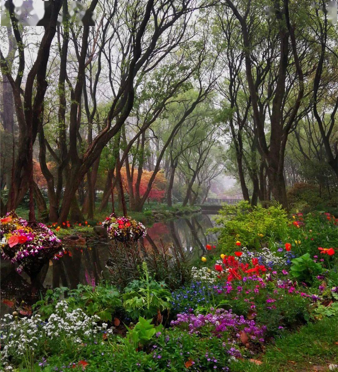 最佳观赏点:七彩森林展区——05梦浣花溪莫奈花园,自然灵动去年婚遍
