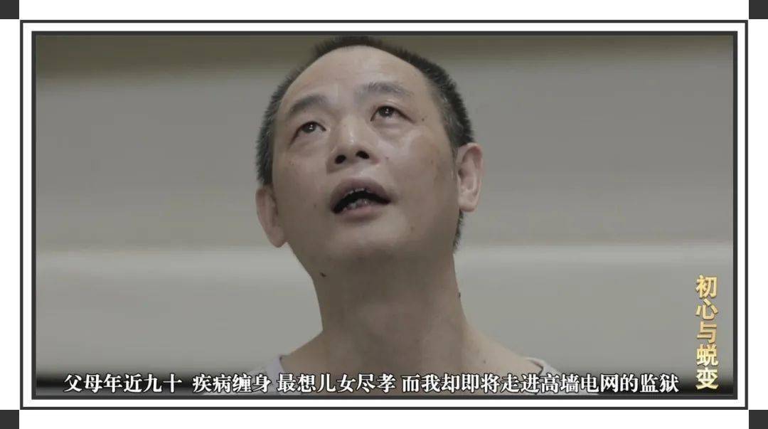 文树忠哭了马立恒悔了这部反腐大片震撼众人