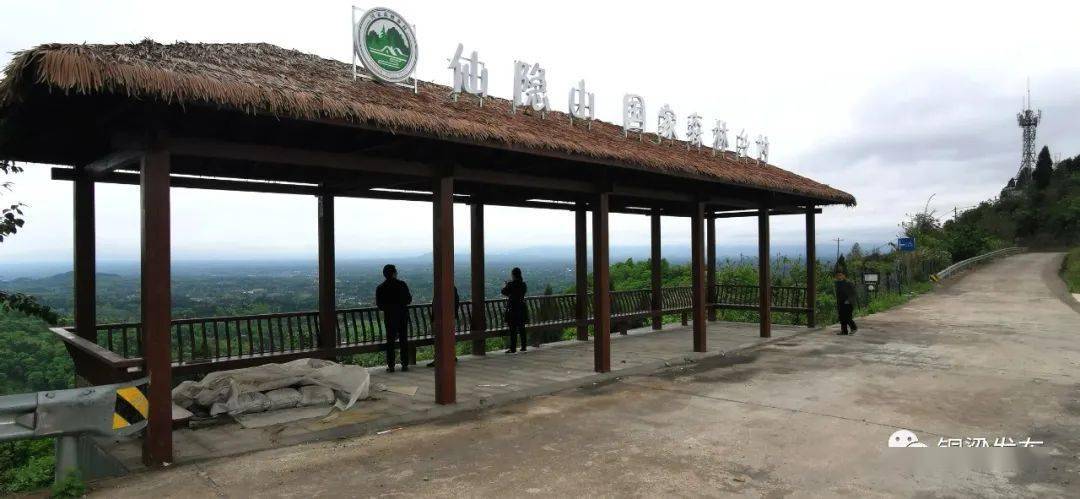铜梁这个地方的樱桃熟啦,赶紧去摘!_双山镇