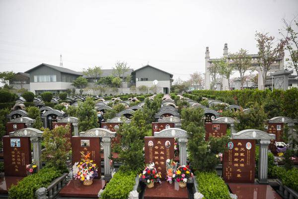 预计448万人次出行祭扫,上海恢复清明扫墓公交专线和短驳车