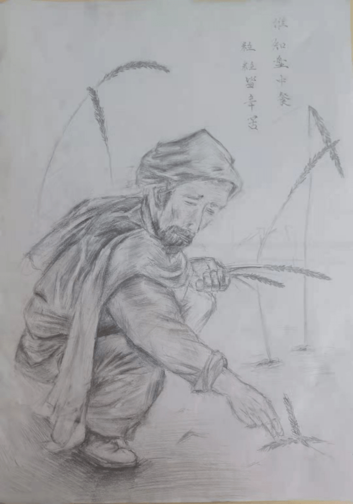 关于珍惜粮食的素描画图片