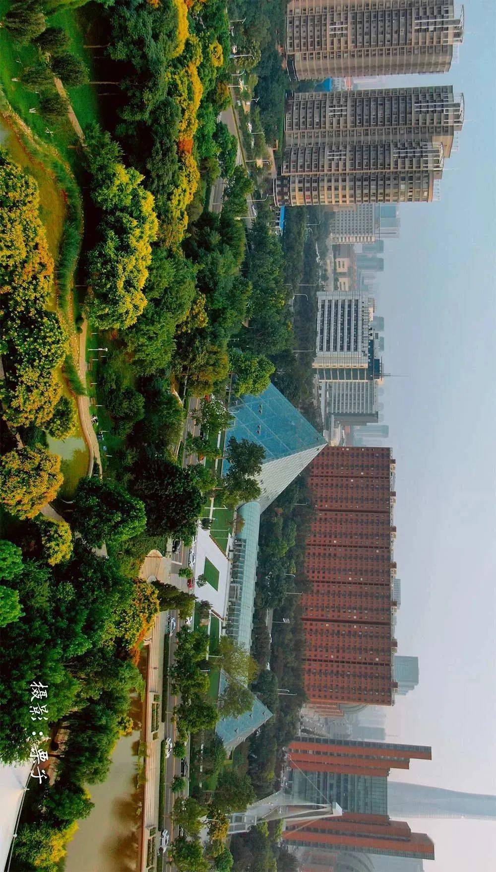 4地点:开发区东区三大街与二大街之间泰达城市公园营造出一种田园牧歌