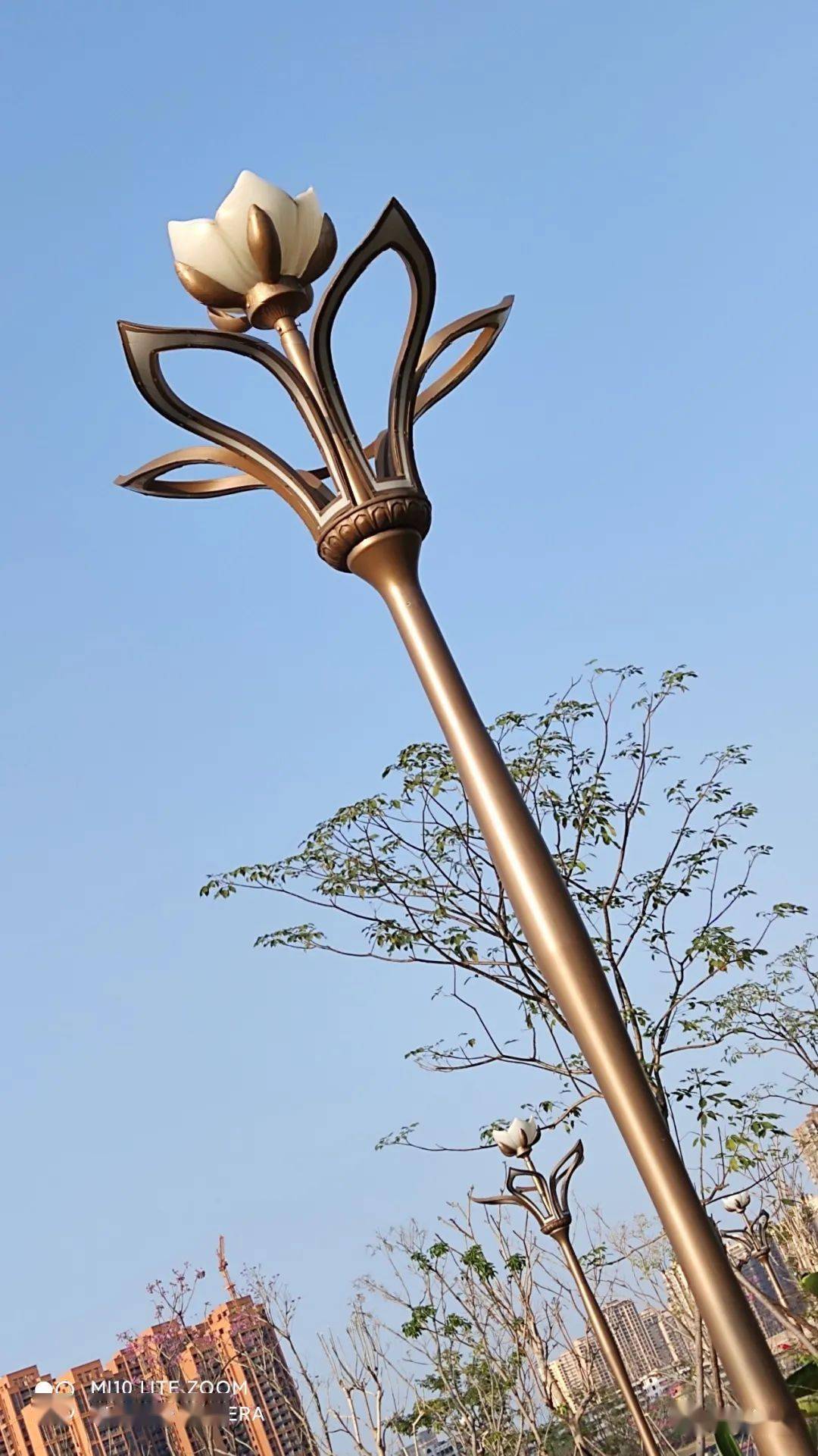 贵港这个颜值超高的江滨公园你去打卡了吗