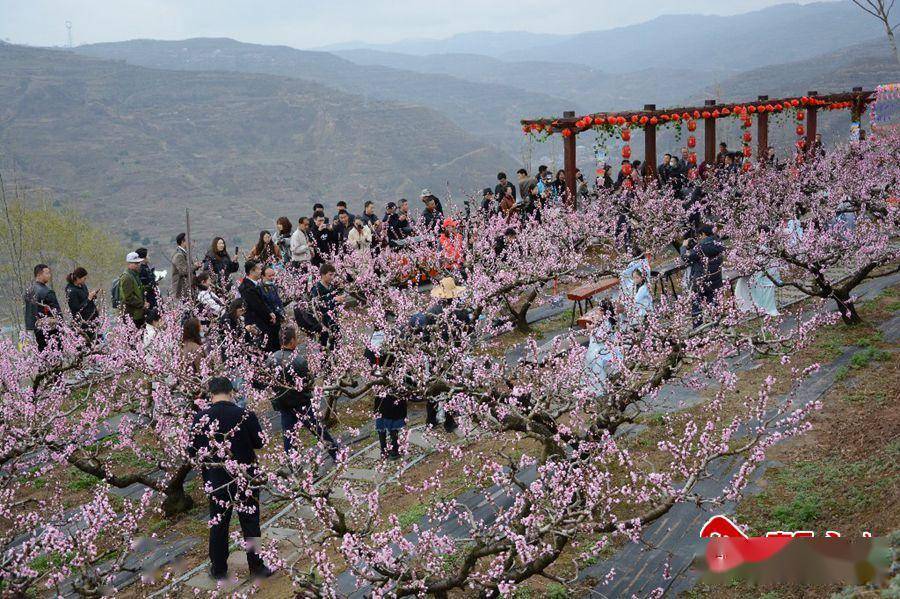 秦安县2021年桃花会盛装启幕