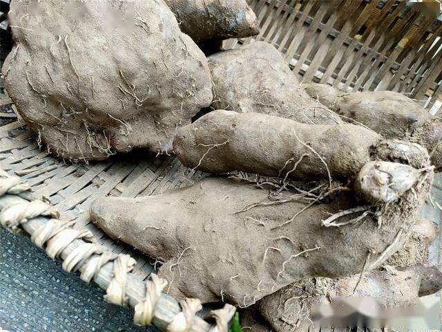 湖南原生态集市有啥全是土里土气的好宝贝最后一种是王炸