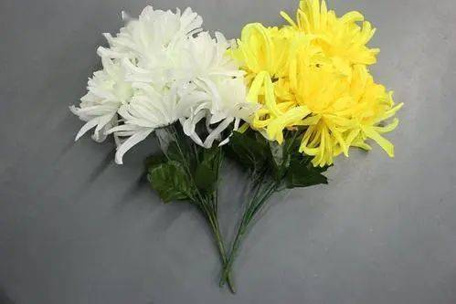 参 与 时 间2021年4月2日——4月5日祭 奠 方 式12愿我们大家共同努力