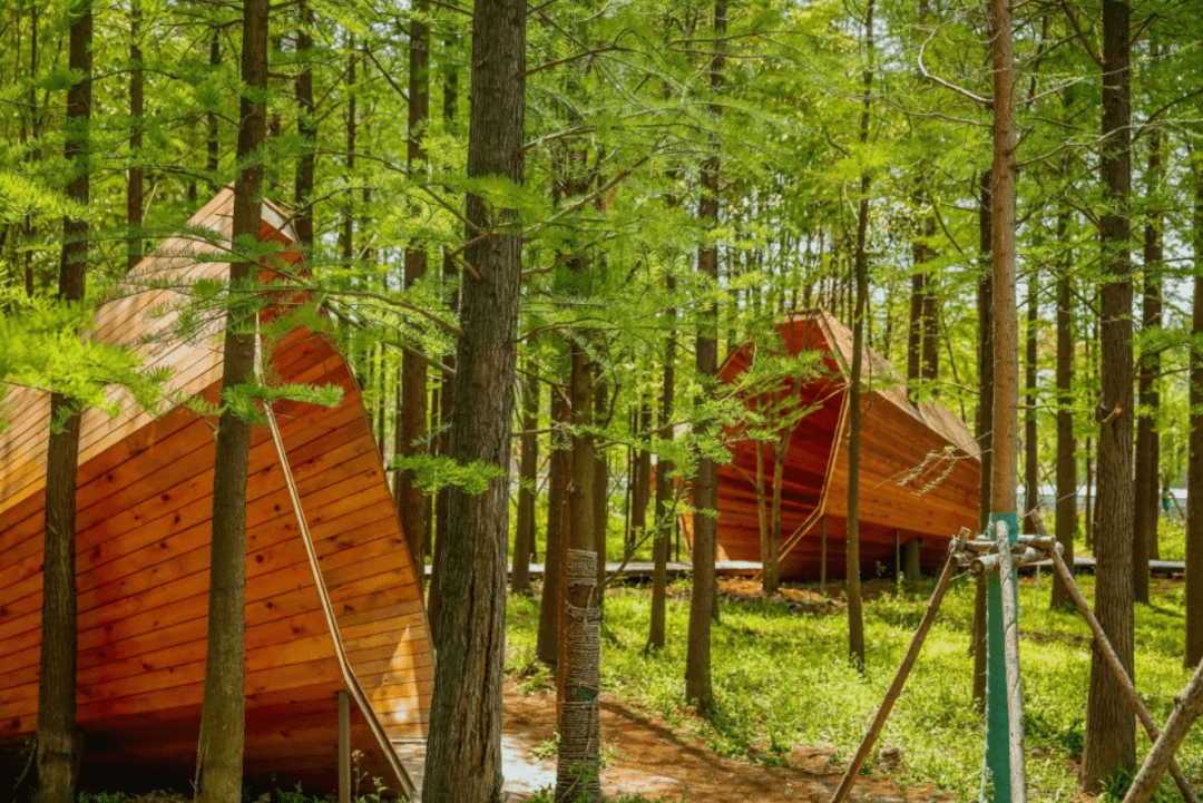 艺术,秋景"为主题,设计规划了五大主题片区,分别为"活力森林区,奇迹