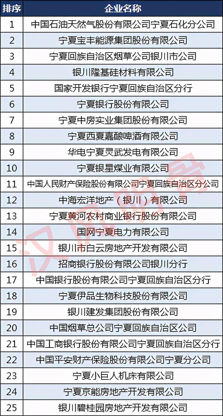 宁夏公司排名_宁夏天源石化公司图片