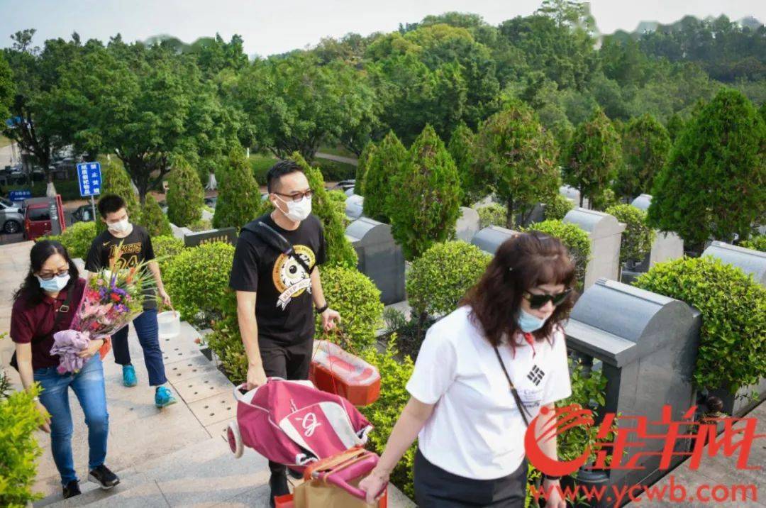 清明假期首日广州逾12万人现场祭扫,无烟拜祭鲜花拜祭成新风尚_骨灰