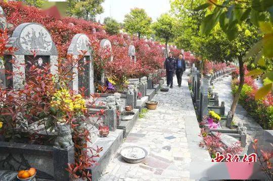 海外华侨华人的别样清明 云端 祭扫表哀思追忆故人情不变 陆金莲