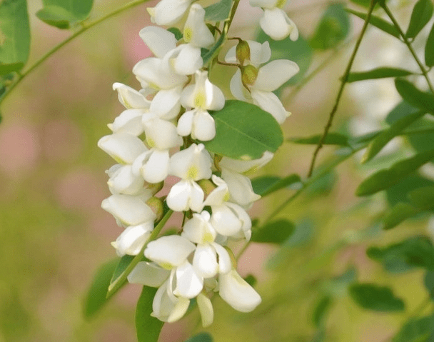 看完才知道,剧中的人设太真实了!_白藤