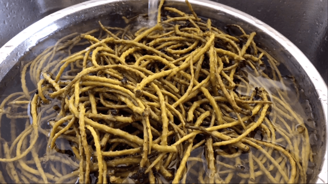 爆炒核桃花大理春天最野的味