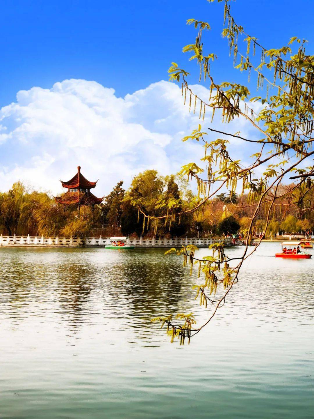 淮南很靓第183波镜看淮南最美风景随手拍摄影作品展