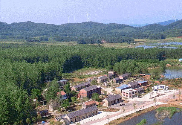 春游江淮请您来丨全椒大墅龙山,很适合"森"呼吸!