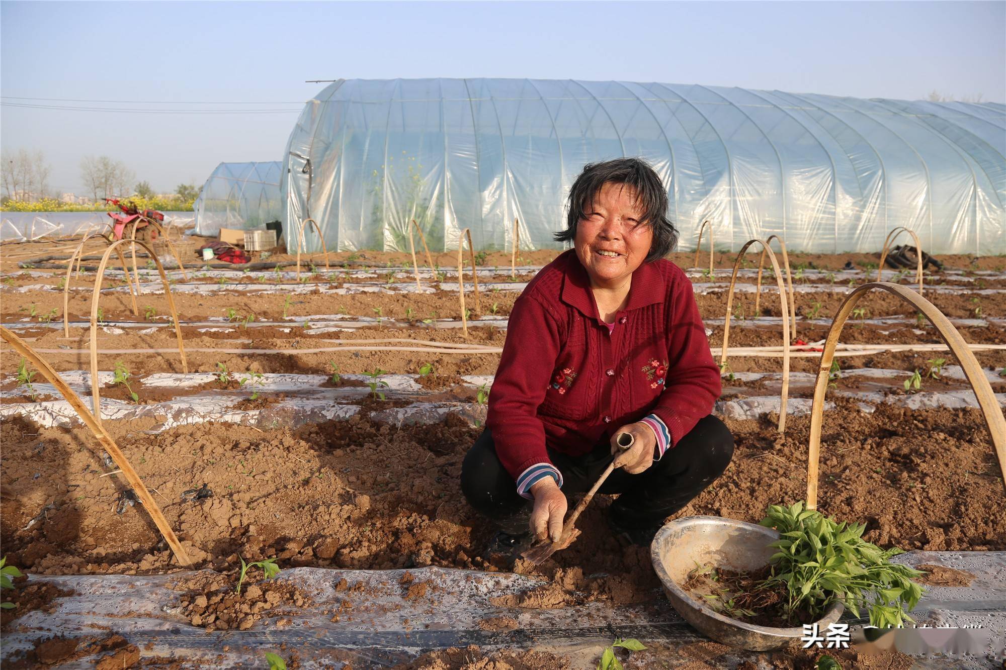 在安徽农村有这么一句俗话 三月三