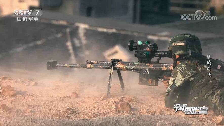 雪豹突击队装备cq步枪图片
