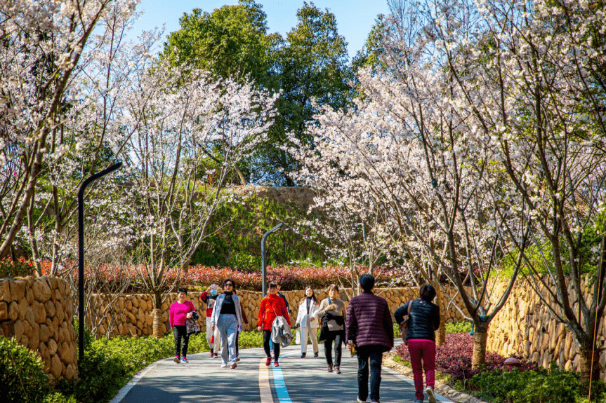 清明踏青去哪儿六大打卡点一起邂逅余杭绝美春天吧