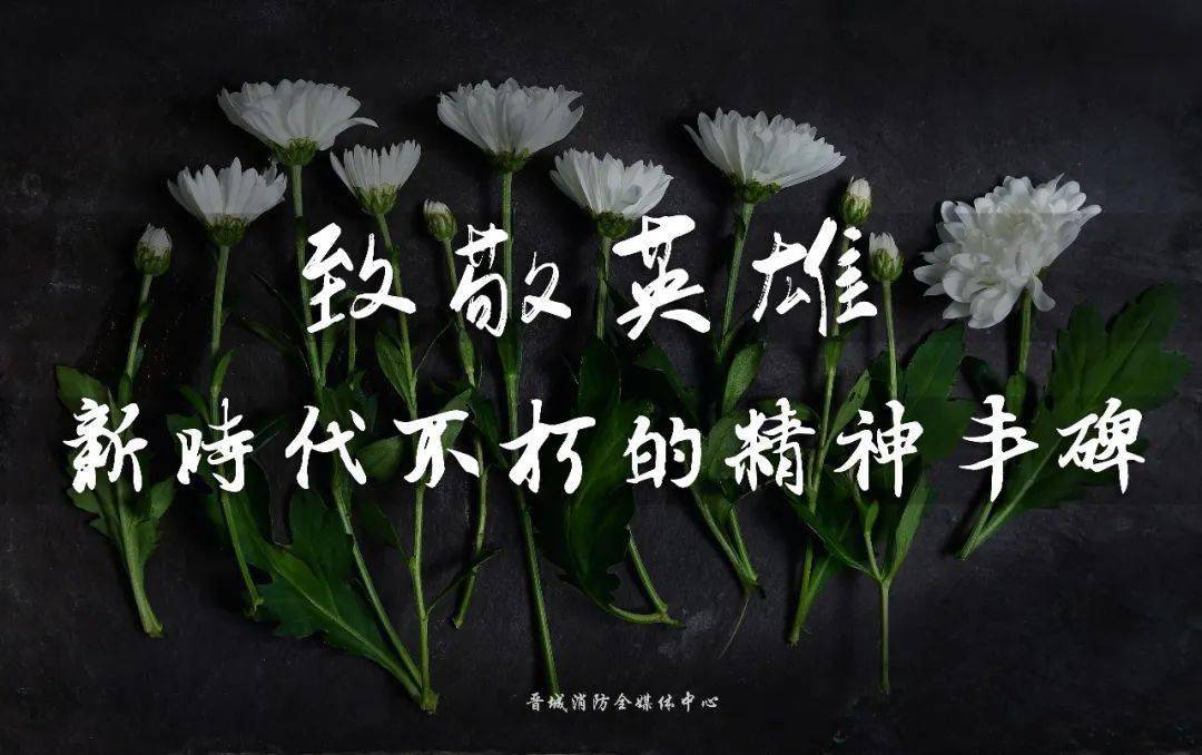 致敬英雄 | 新时代不朽的精神丰碑!