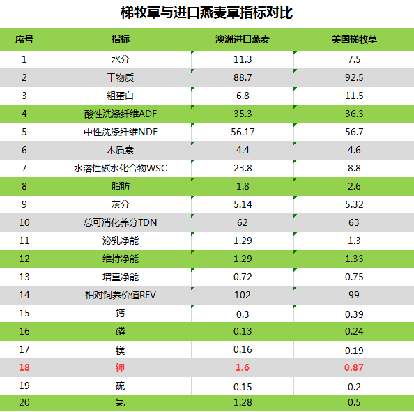 市场进口燕麦草持续紧张让进口梯牧草为奶牛护航