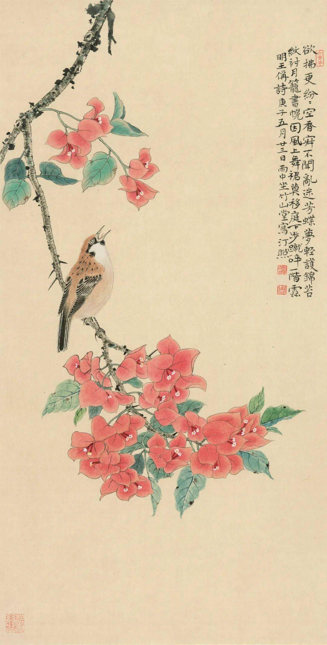 清丽雅致|周泓丽工笔与没骨花鸟画赏析,美不胜收!_作品