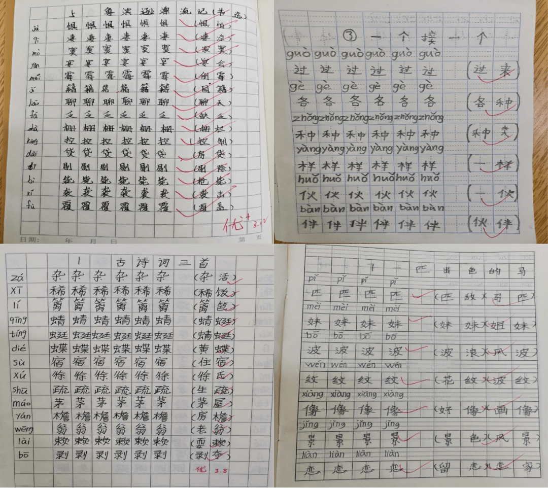 美在笔下乐在其中 下窖小学举行三月份规范汉字书写活动颁奖仪式 彭玲姿