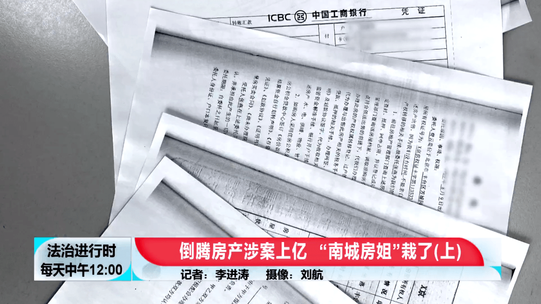 北京大案纪实诈骗110000000元的南城房姐覆灭记