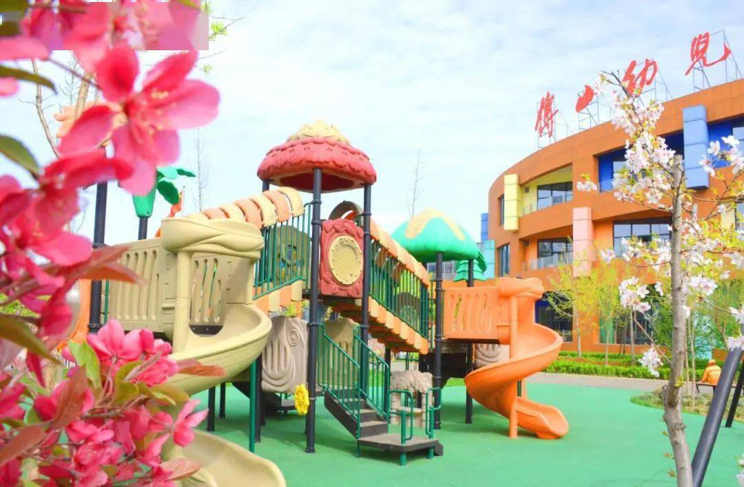 淄博市实验幼儿园淄博市文化局幼儿园淄博市儿童活动中心幼儿园责任