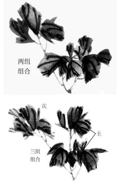 牡丹叶子画法口诀图片