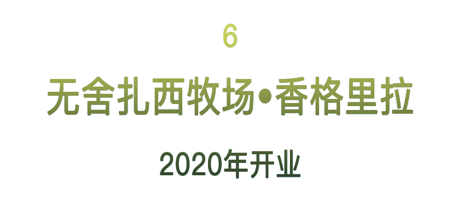 西南新酒店 越野越奢 特色