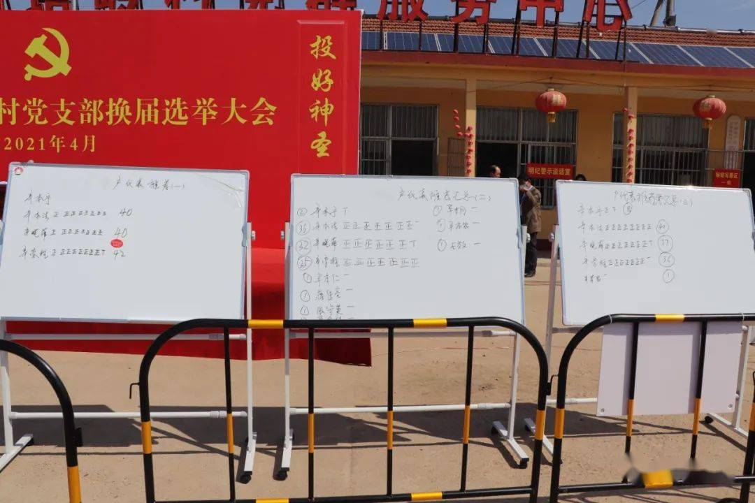 谈话召开党员大会选举村党支部委员会成员重温入党誓词介绍票样发票