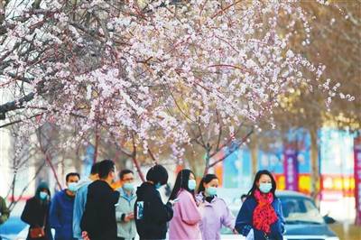 四月北京的花朵四月盛开_沉阳