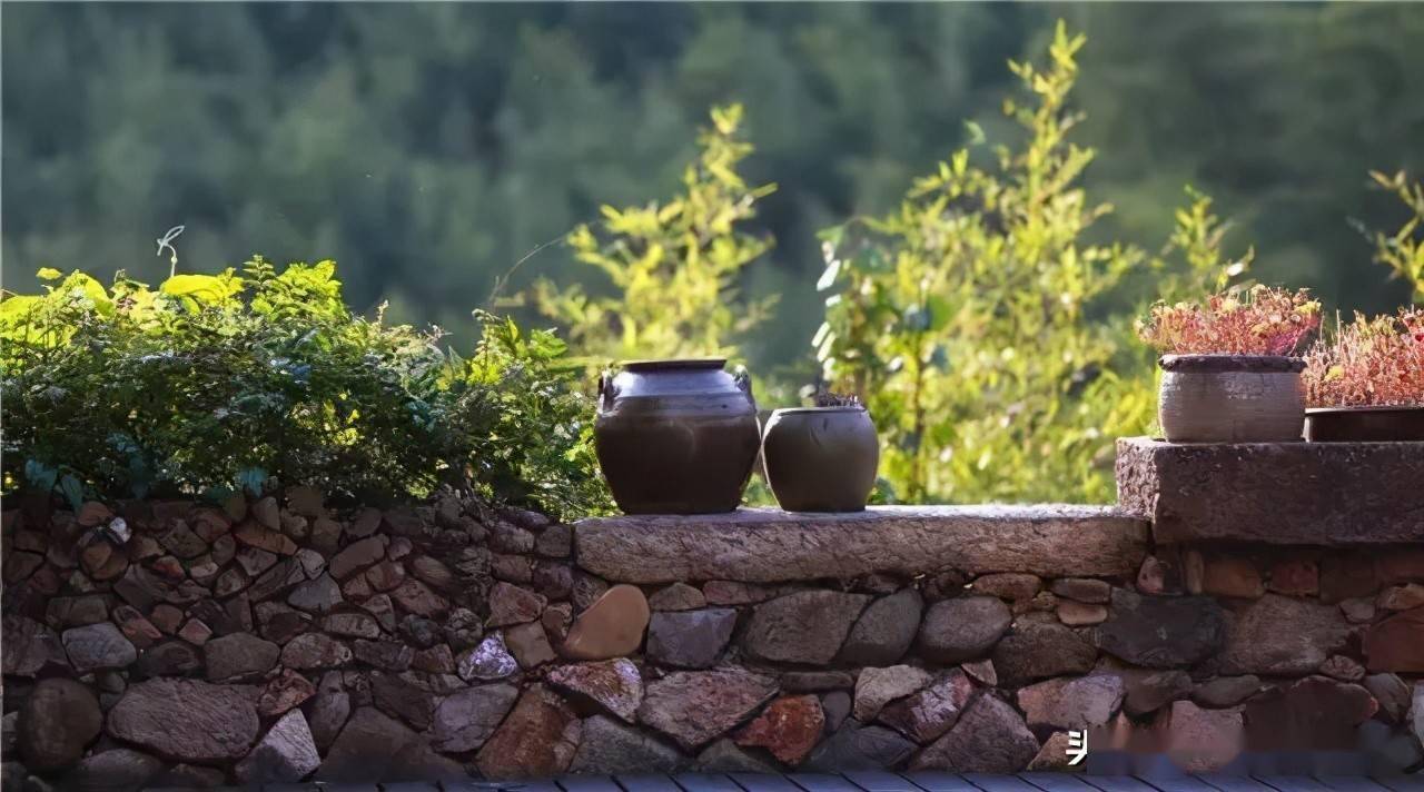 鄉村庭院,自然質樸_原木