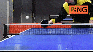 0e75eaea854844c9889efa8ad2b03c12.gif