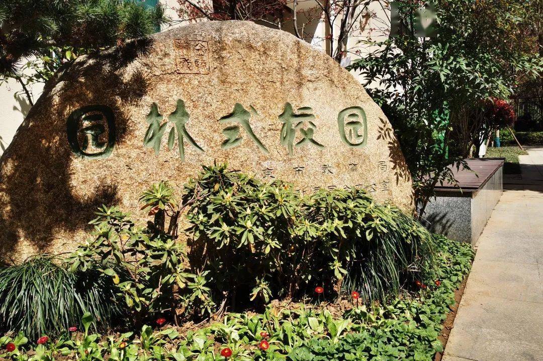 com不负春日好时光南师附中树人学校附属小学步履匆匆,春天留在镜头里