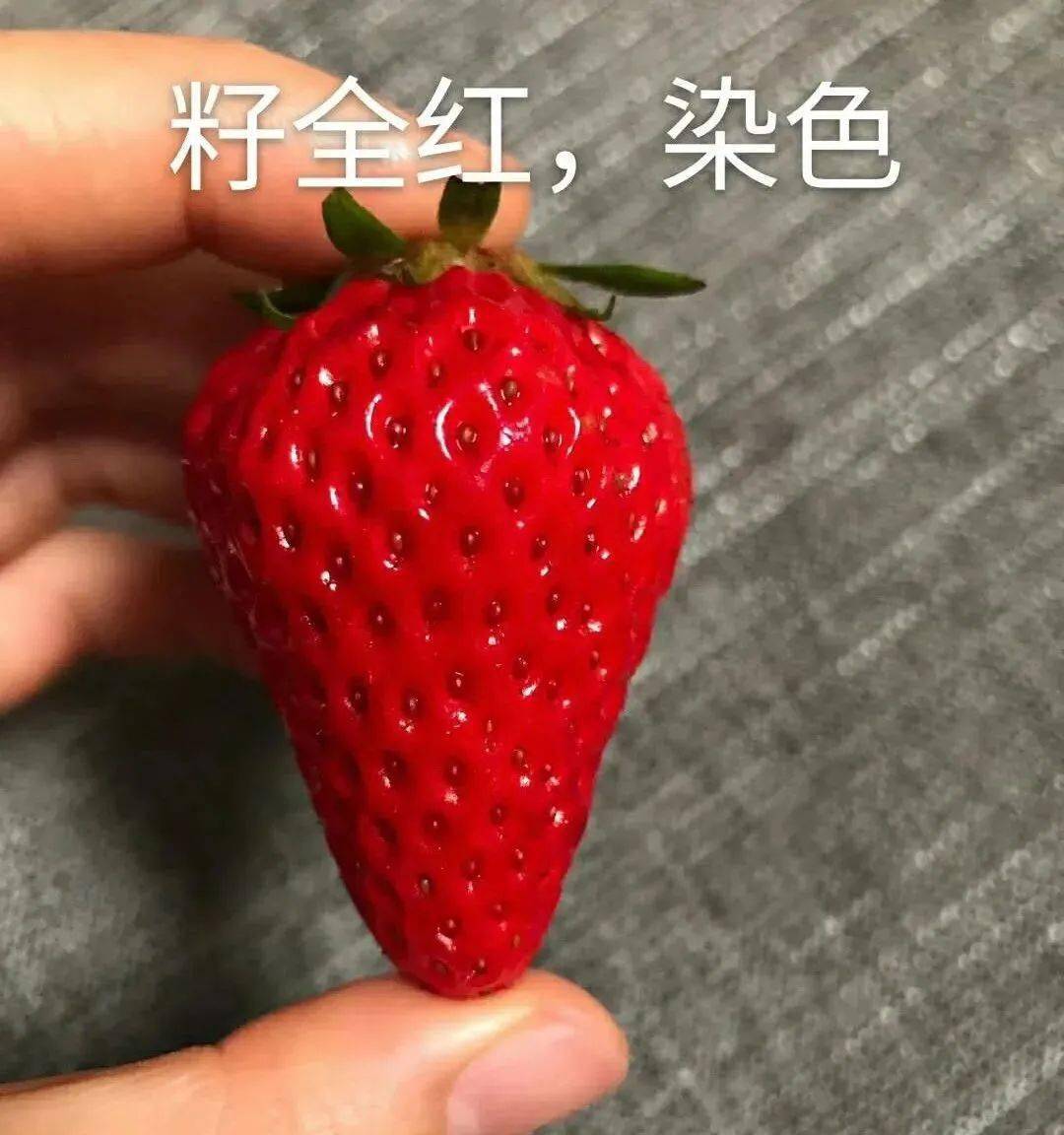 教你在这个季节吃到放心安全的草莓!_染色