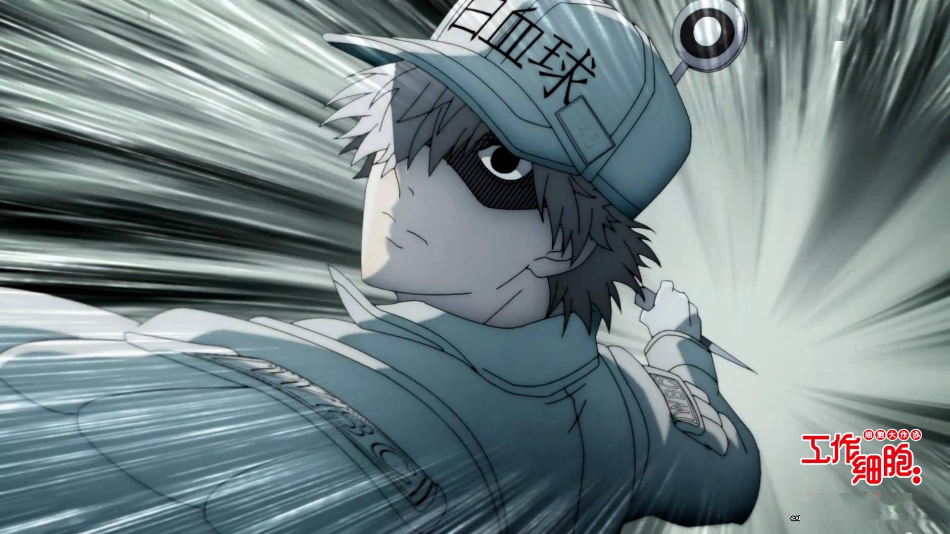 工作细胞细胞大作战今日上映萌燃治愈四大看点解析