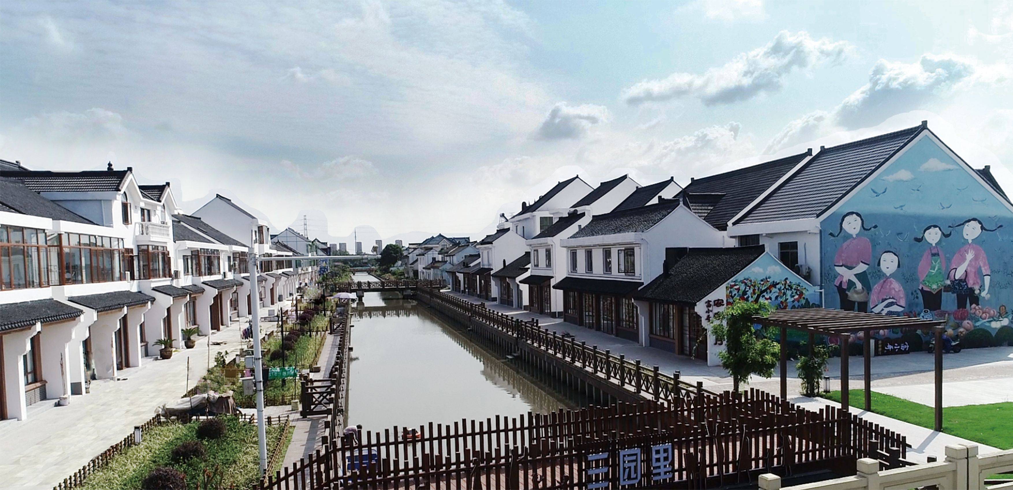 超大城市乡村振兴怎么抓李强龚正看了金山这些示范村现场推进会上作