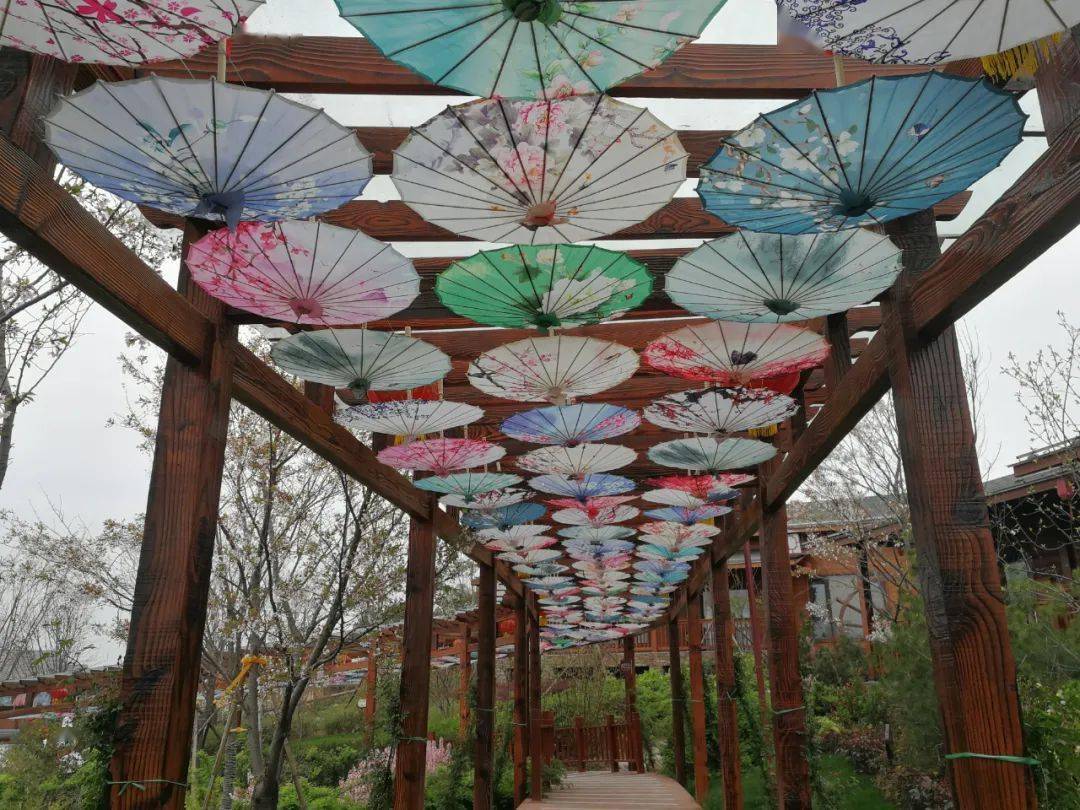 龙岗人文小镇赏花秘境奇域季限时福利大放送搞怪萌宠等你来戳文解锁