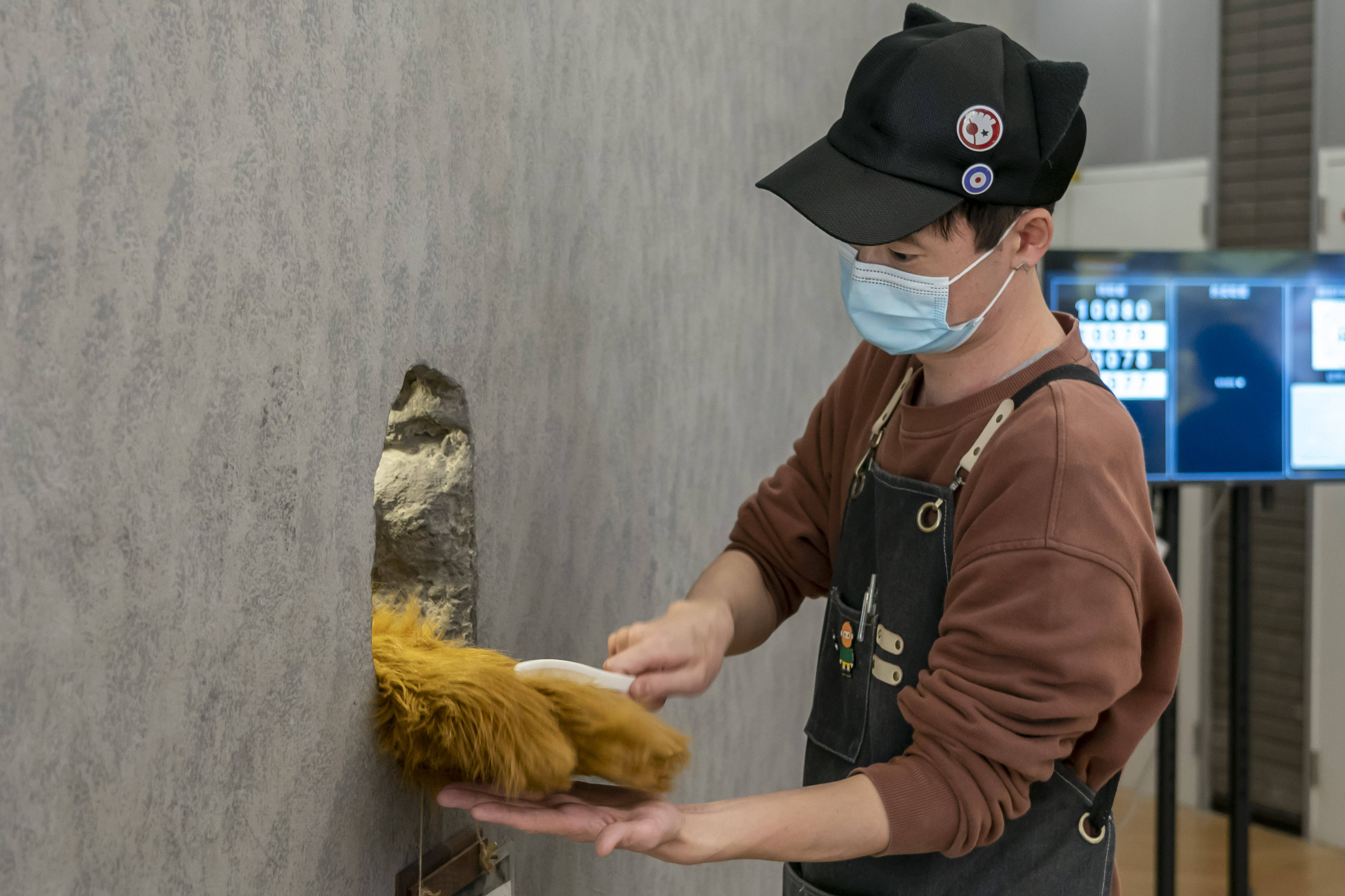 4月8日,阿肯来到"熊爪"咖啡店洞口为"熊爪"梳毛.