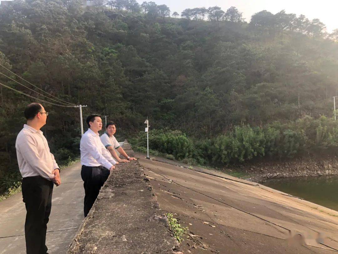 杨通顺到石龙镇调研乡村风貌提升防汛春耕生产等工作