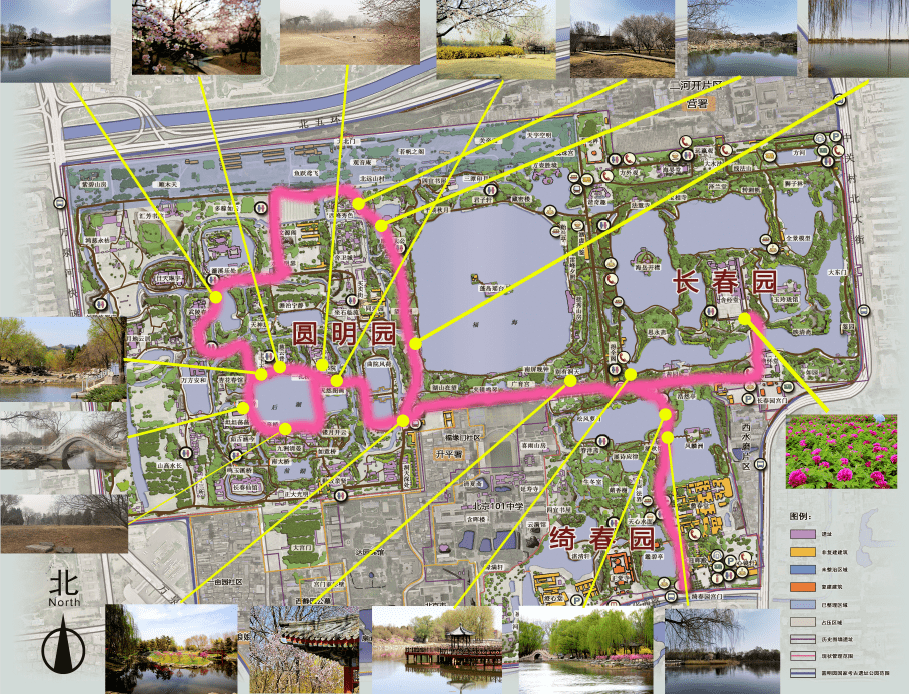 全园均有分布·二月兰推荐观赏地点:正觉寺西 坐石临流 武陵春色 松风