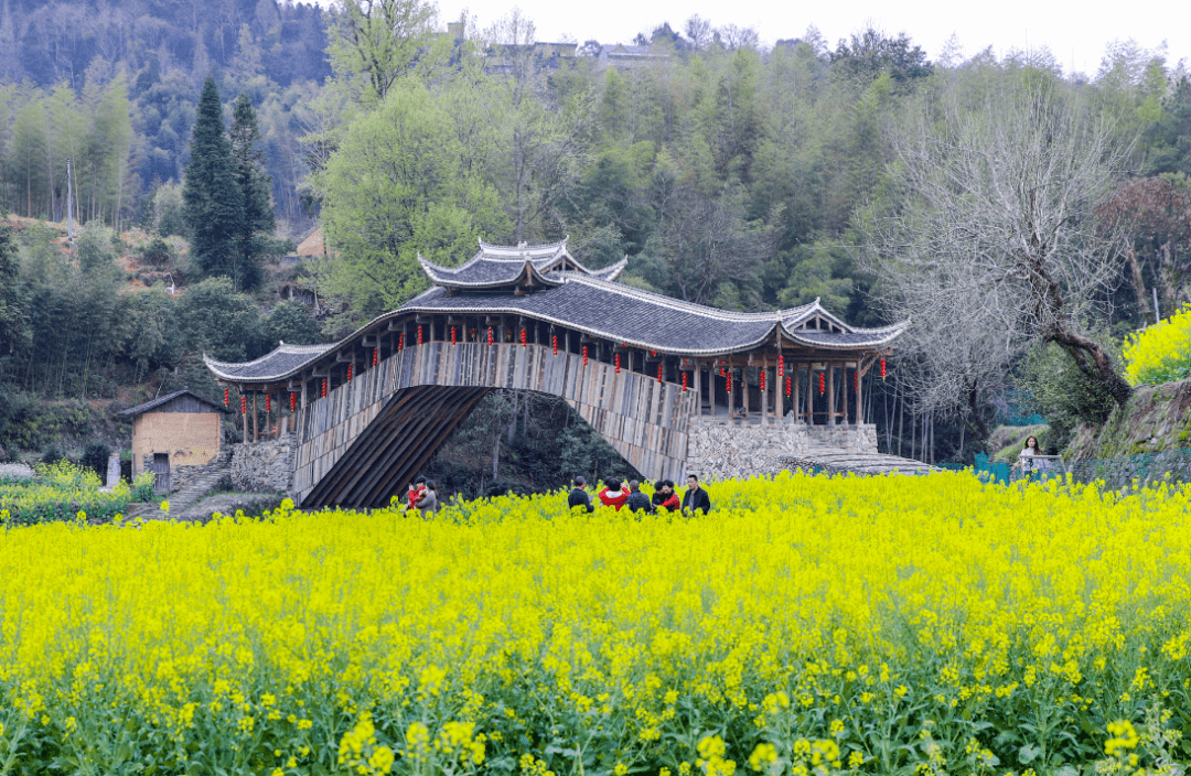 泰顺县 文旅特色型  筱村镇