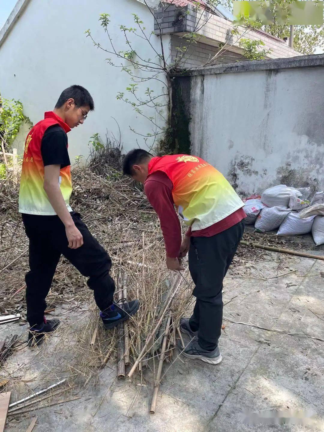小蜜蜂对人类的贡献 小蜜蜂对人类的贡献大吗