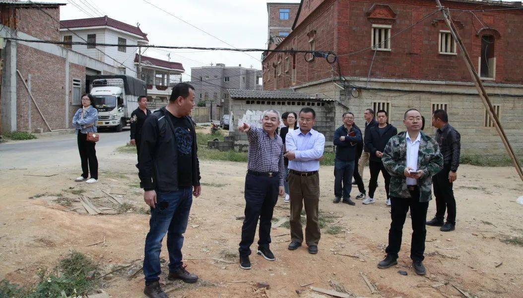 人大开考61专题询问晋江市人大常委会领导林友竹带队开展城乡人居