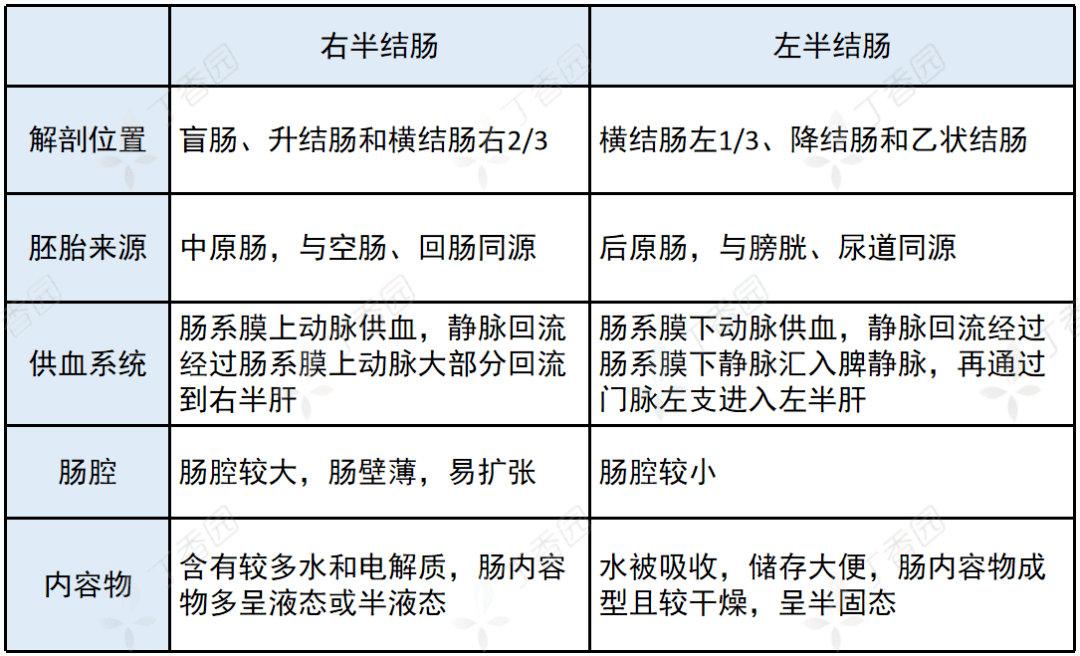 右半结肠癌,这 4 大差异,你能答全吗?