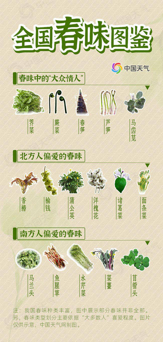 此味只应春天有 这些舌尖上的春味 你偏爱哪个 野菜